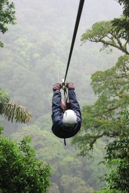 Zip-lining Through Rainforests