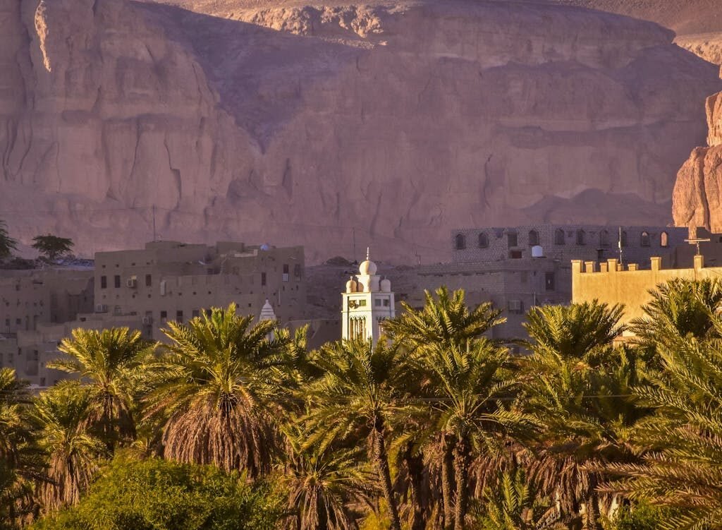 Socotra, Yemen – An Alien Landscape